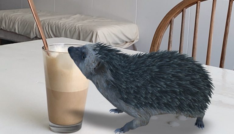 Een egeltje op tafel bij een koffie via Google 3D Dieren