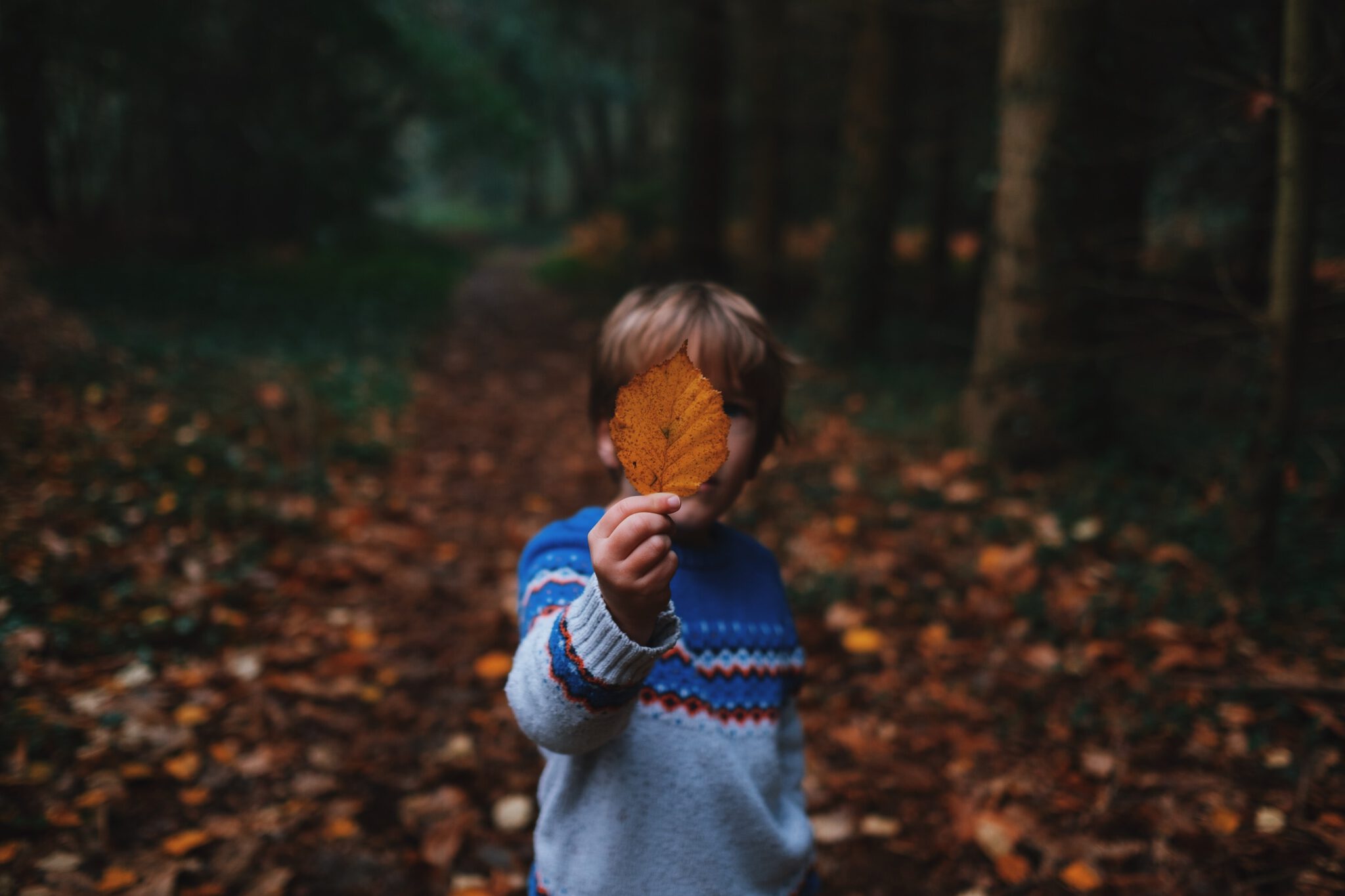 Jongetje die herfstblad voor zich houdt tijdens een herfstwandeling in de bossen