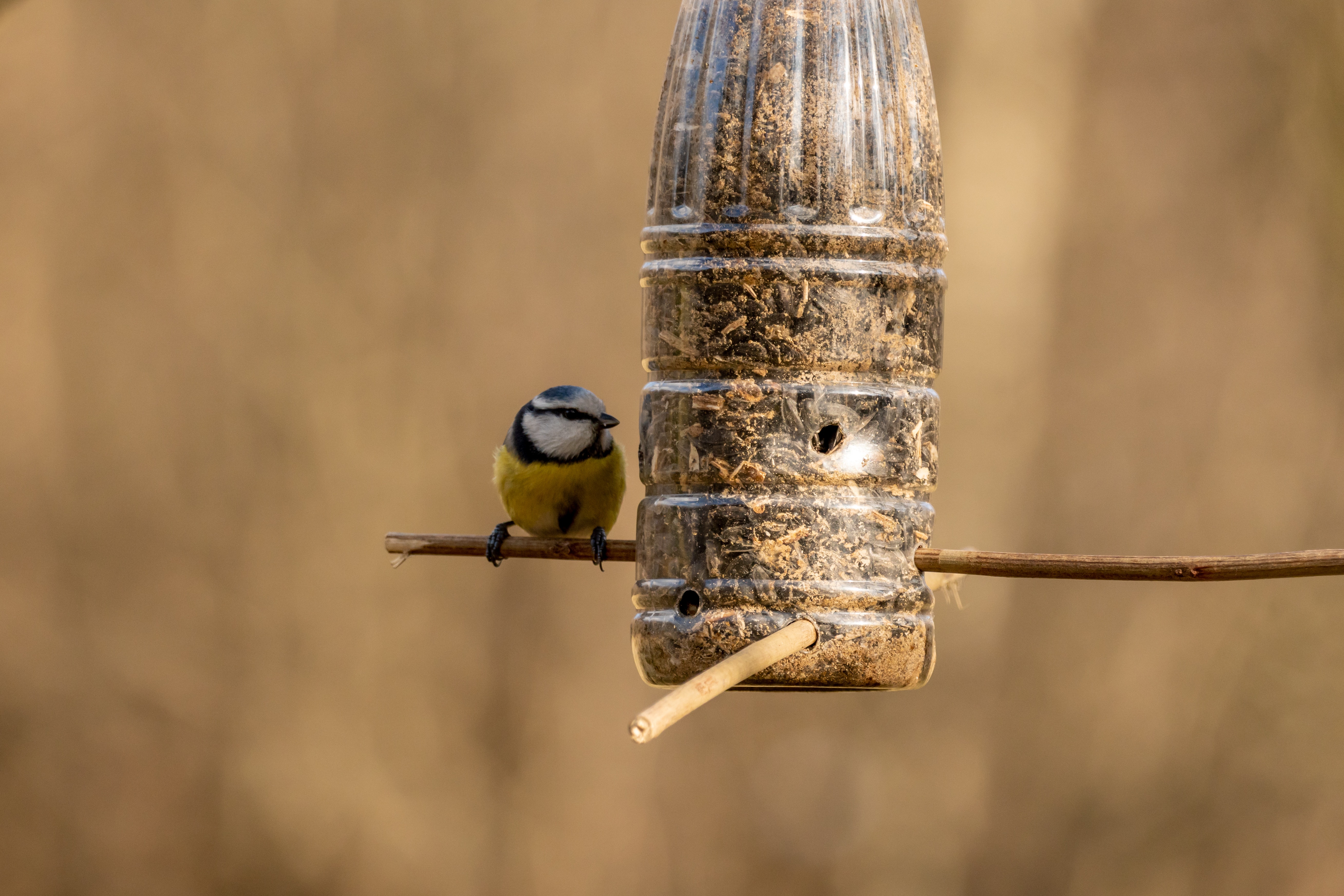 vogelvoerhangers