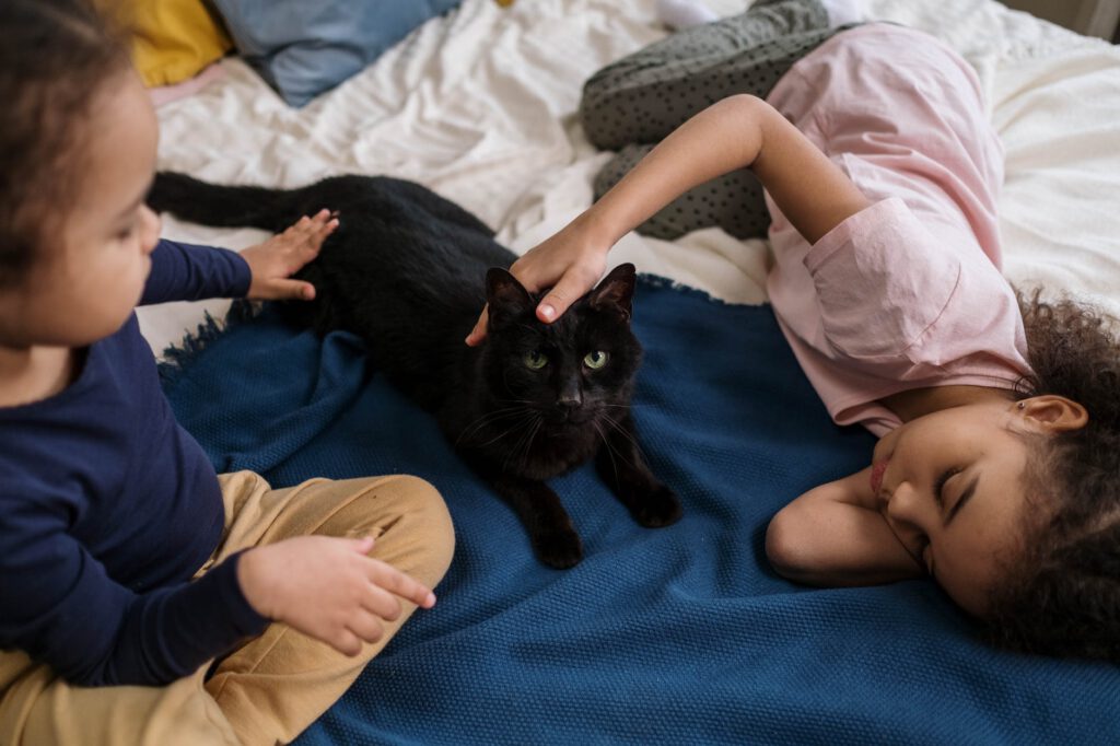 autisme / meisjes liggen op bed met kat
