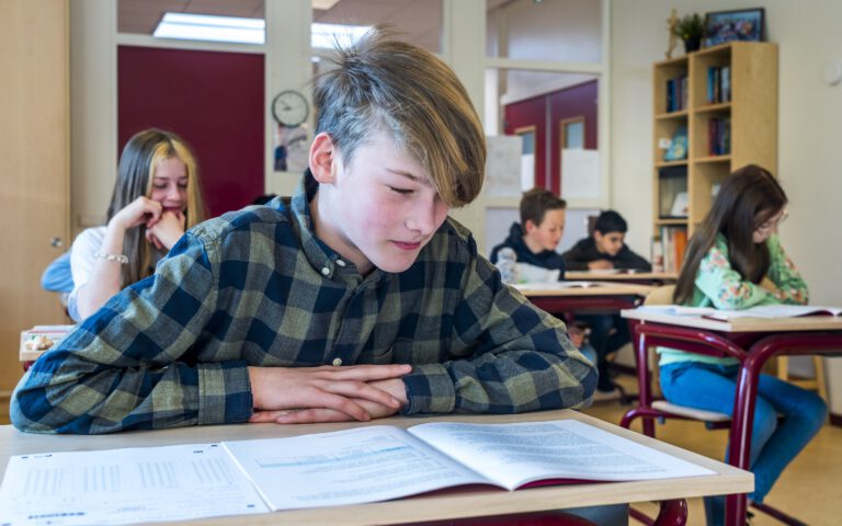 voorlopig schooladvies begrijpend lezen voorlopig schooladvies