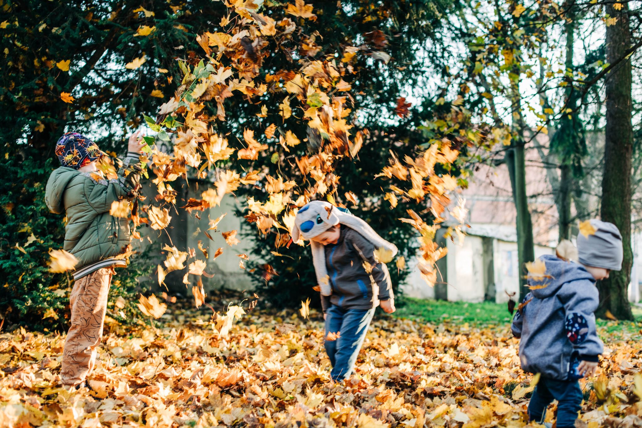 binnen- en buitenactiviteiten Flevoland