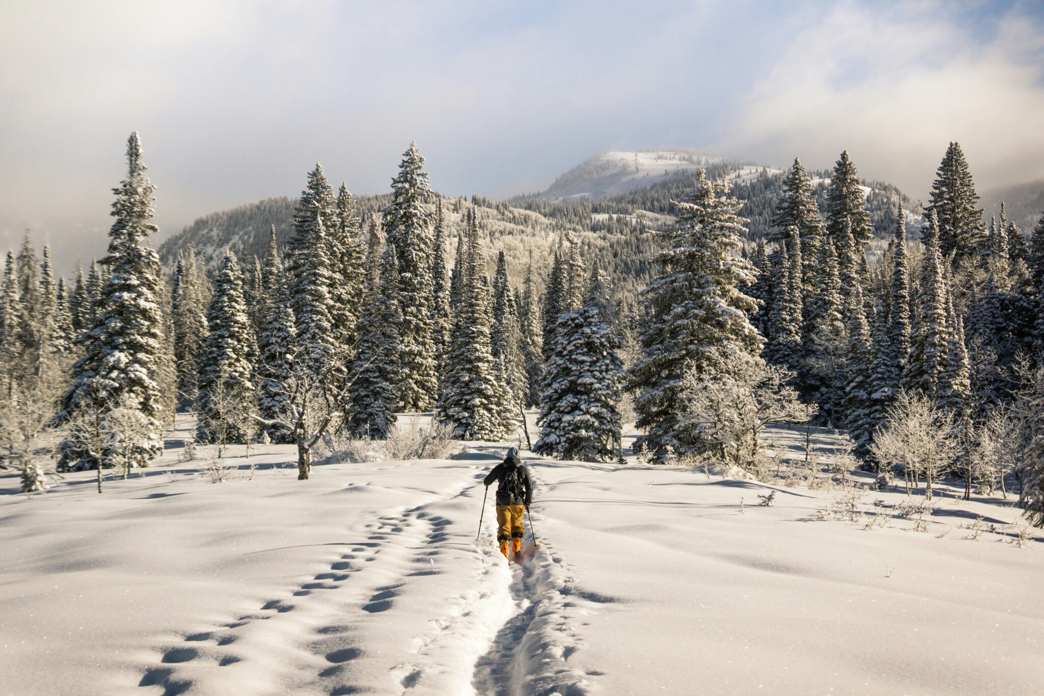 meegenomen op wintersport