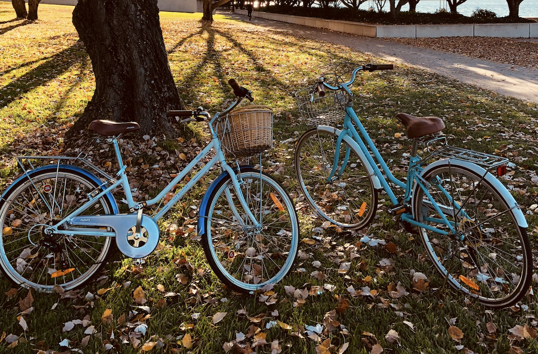 fietskar