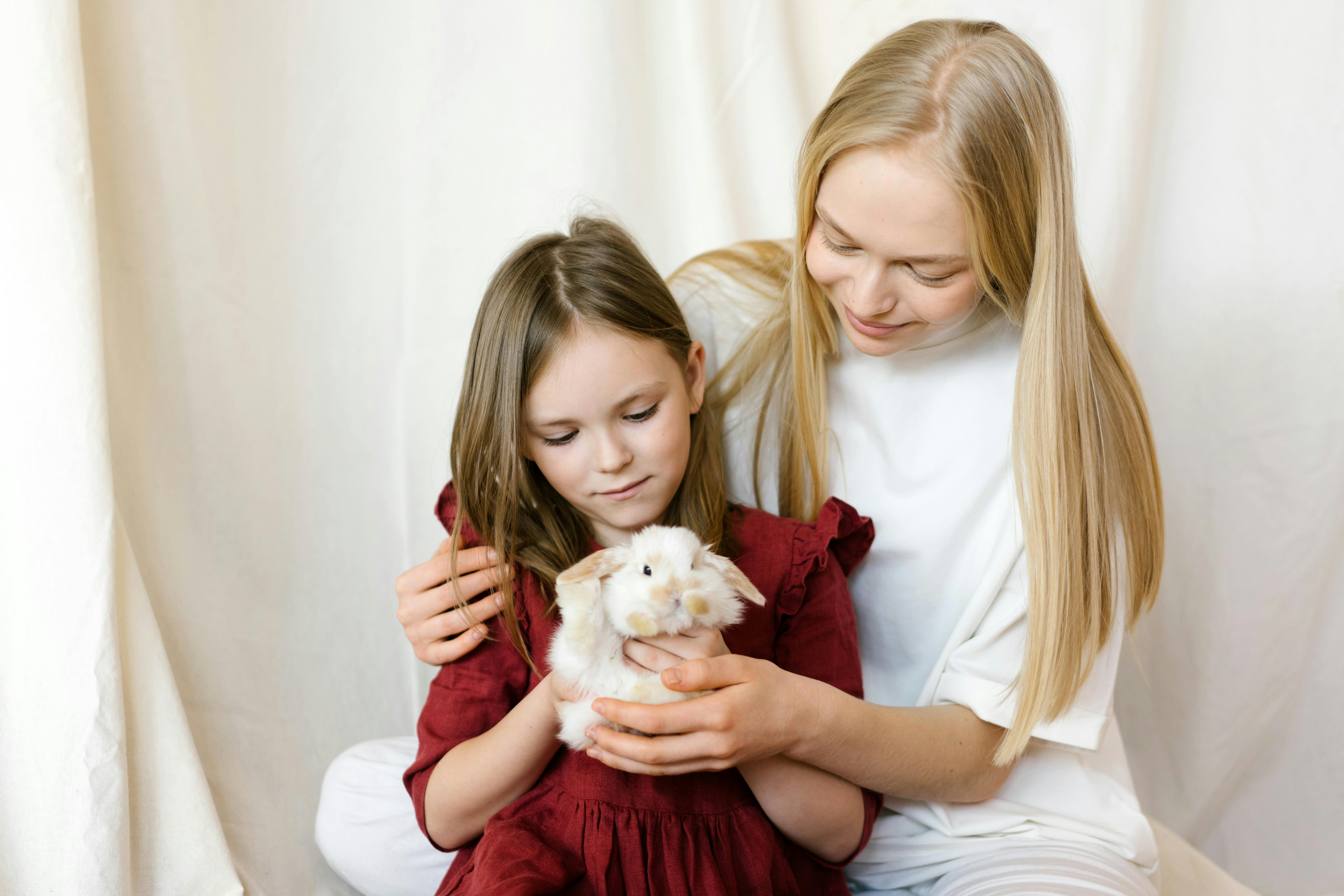 dierendag