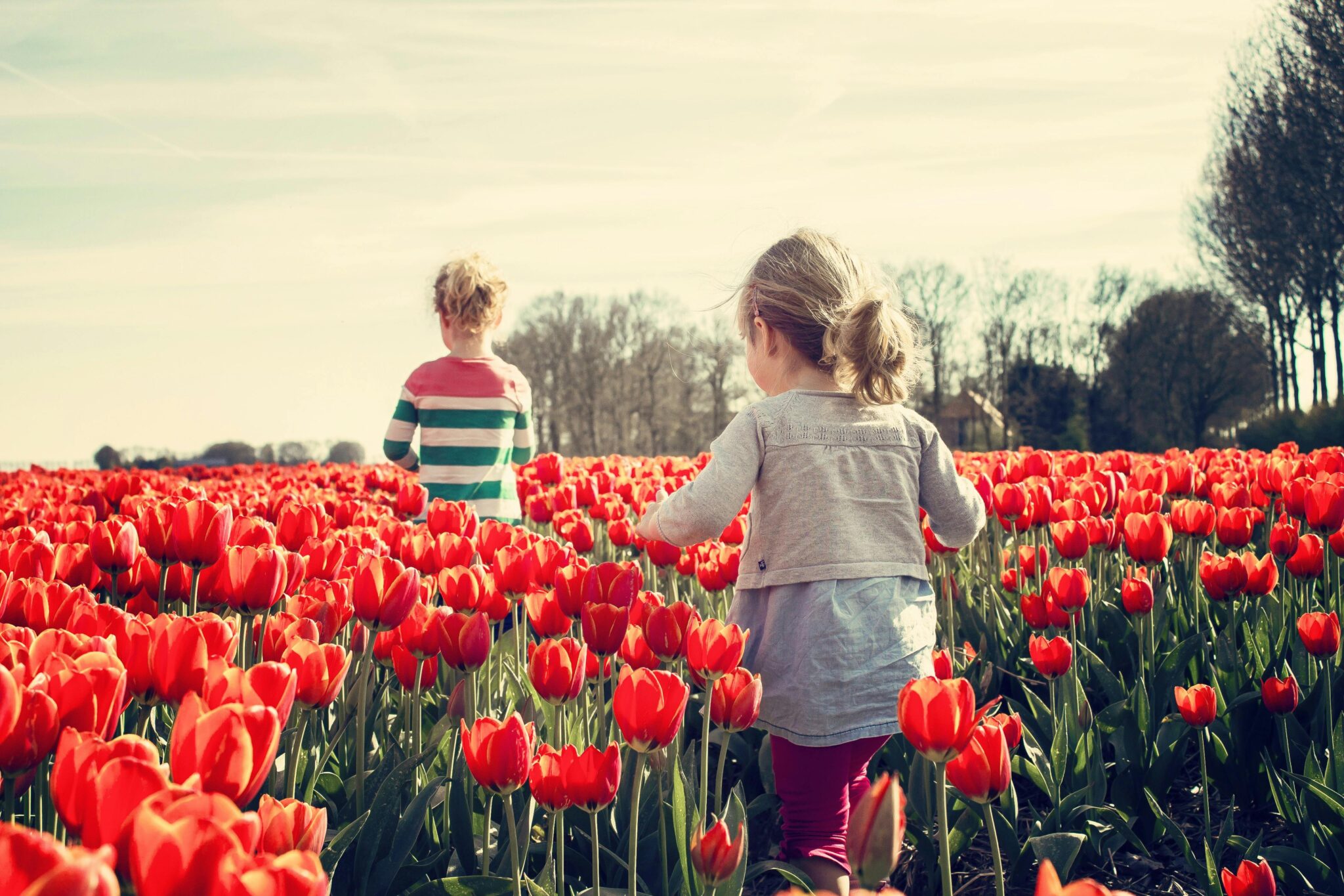 lente-uitjes