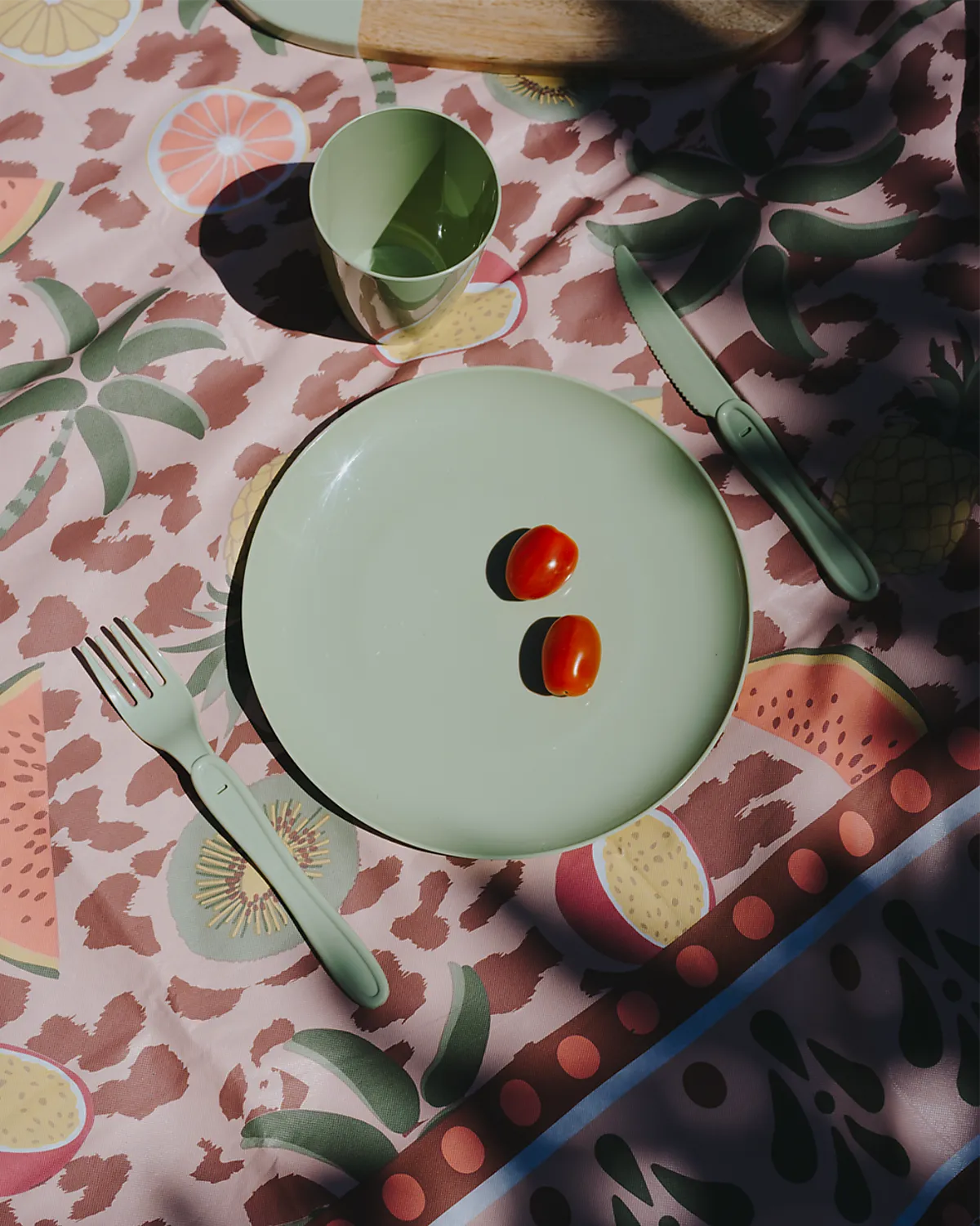 picknick beginbeeld